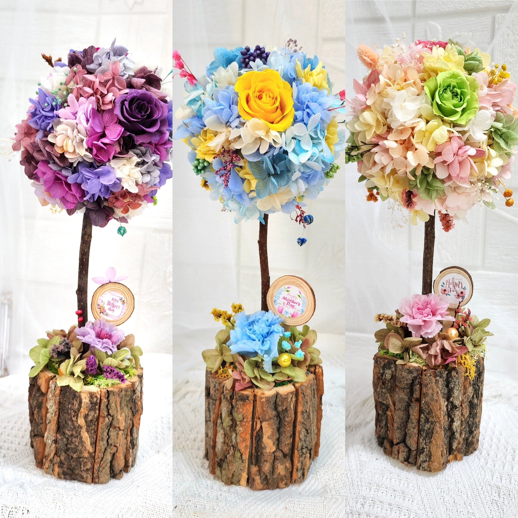 母親節花球樹 (MA02)