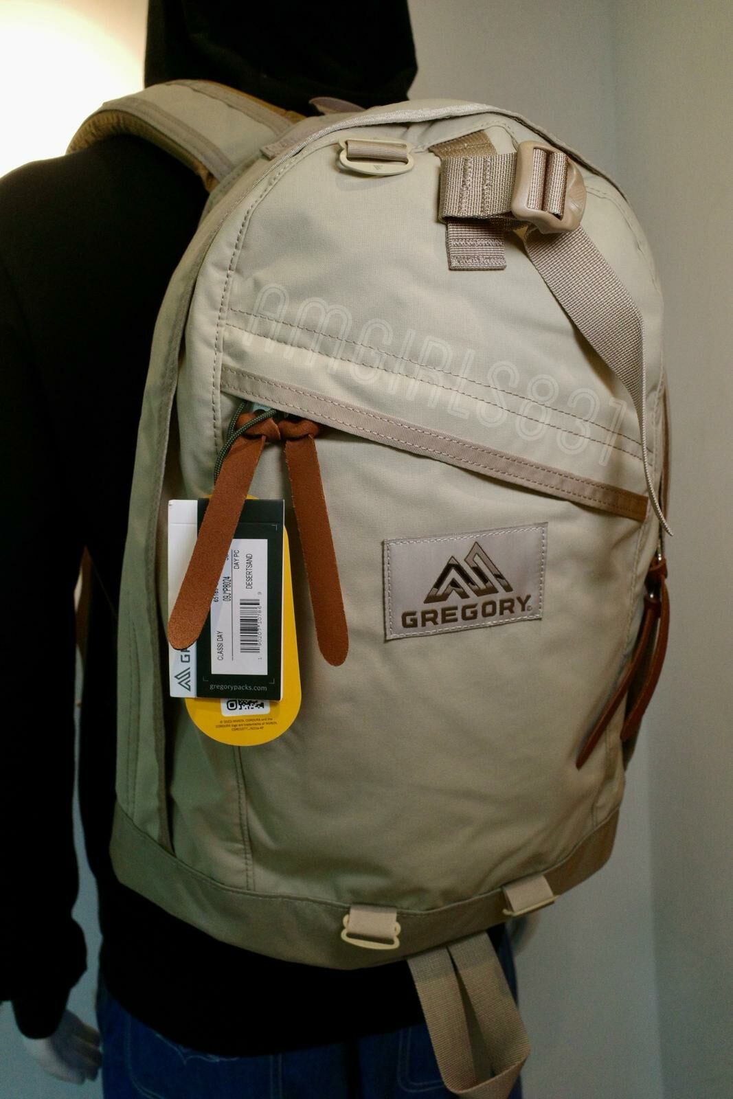 Gregory day pack desert sand