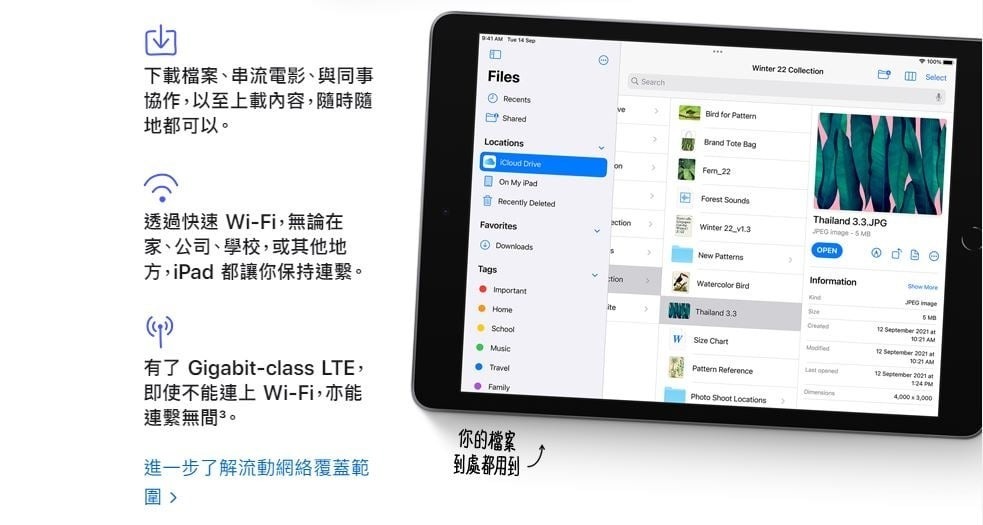 Apple 2021 iPad 10.2" 平板電腦 (第9代Wifi版) [64GB] [2色]