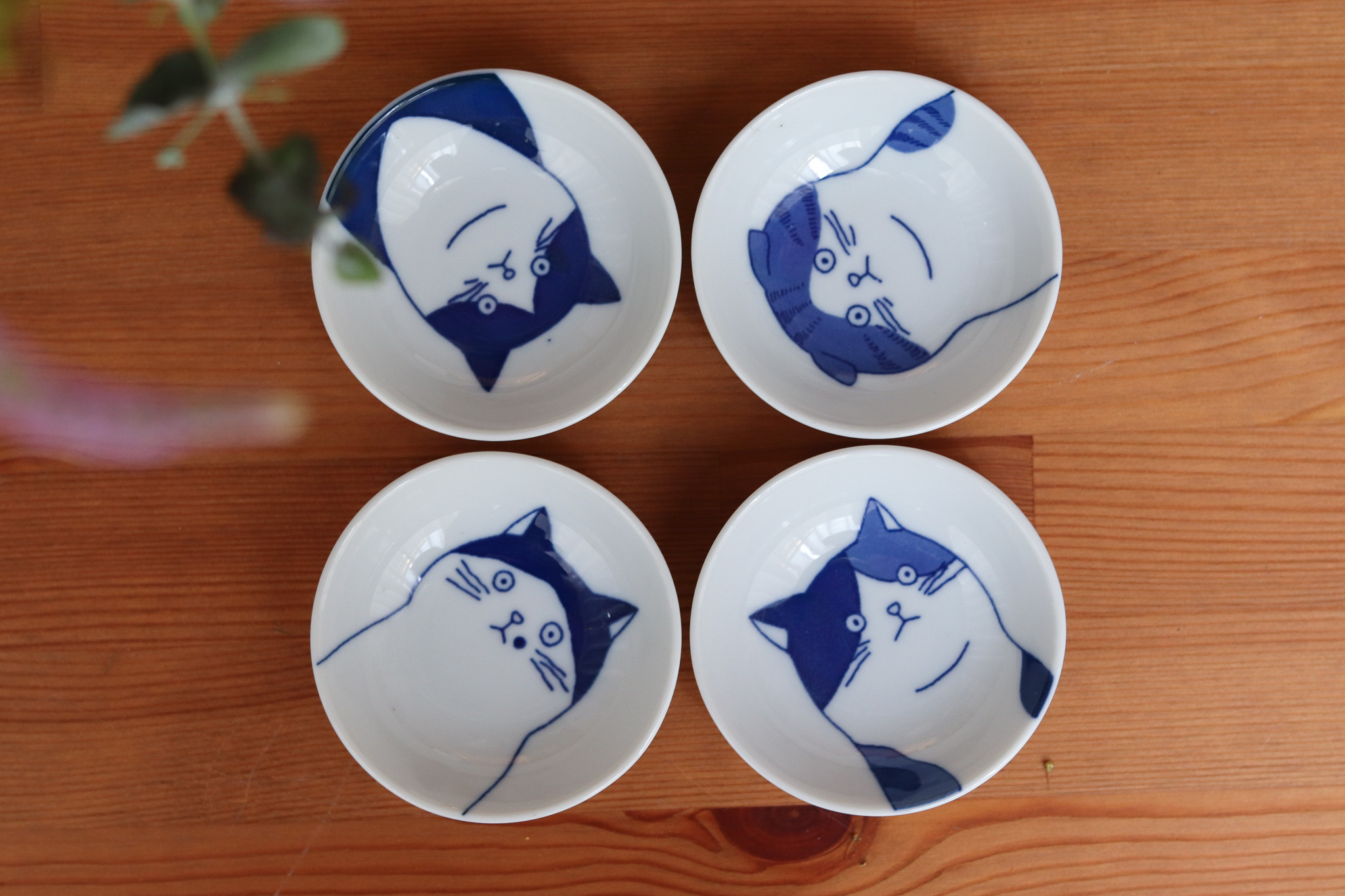 SHICHITA 貓咪 小碟 9cm