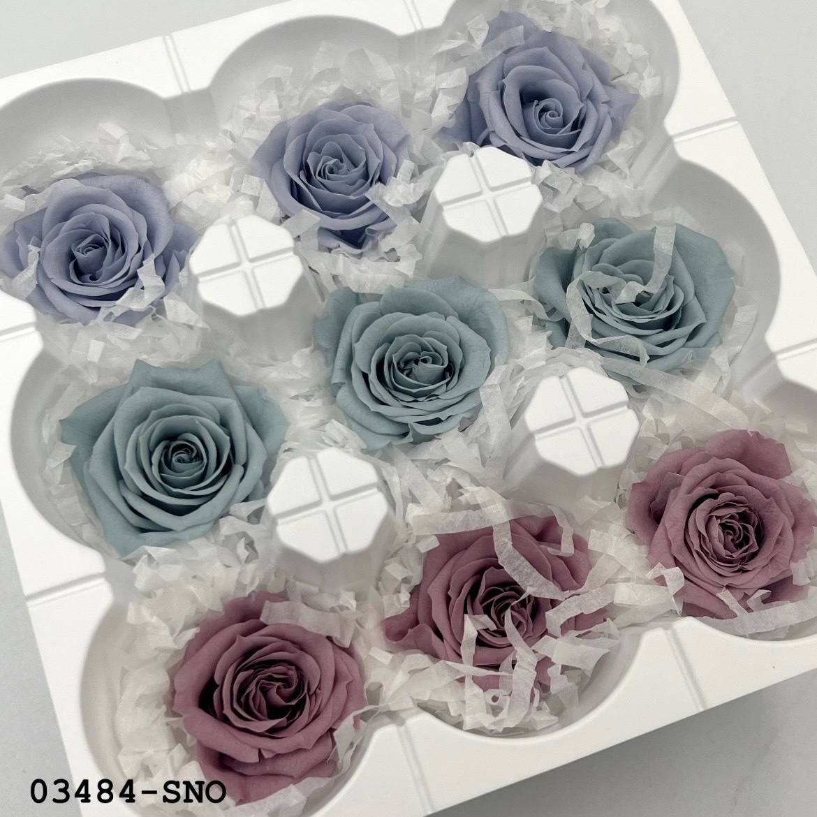 日本不凋中輪玫瑰(9朵) 03484-SNO