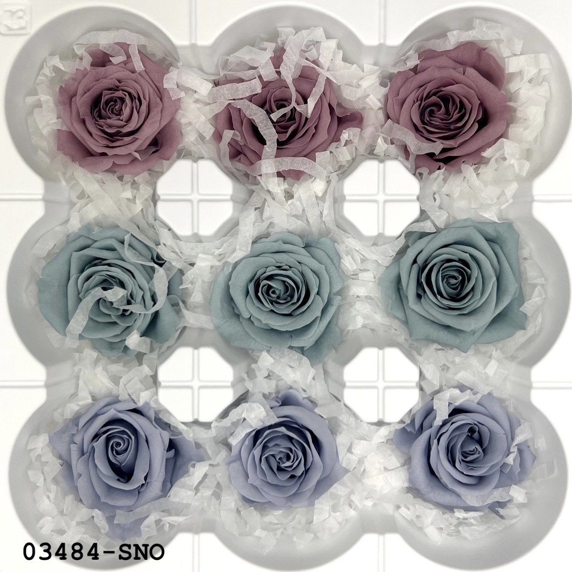 日本不凋中輪玫瑰(9朵) 03484-SNO