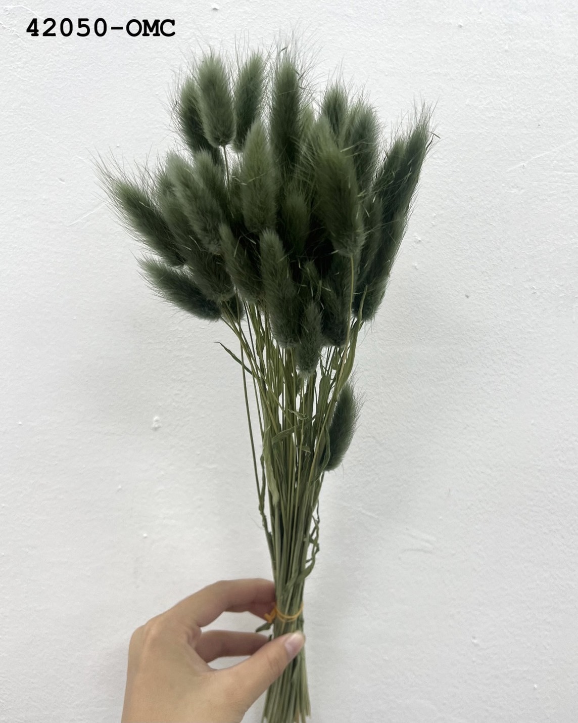 日本乾燥兔尾草 42050-OMC