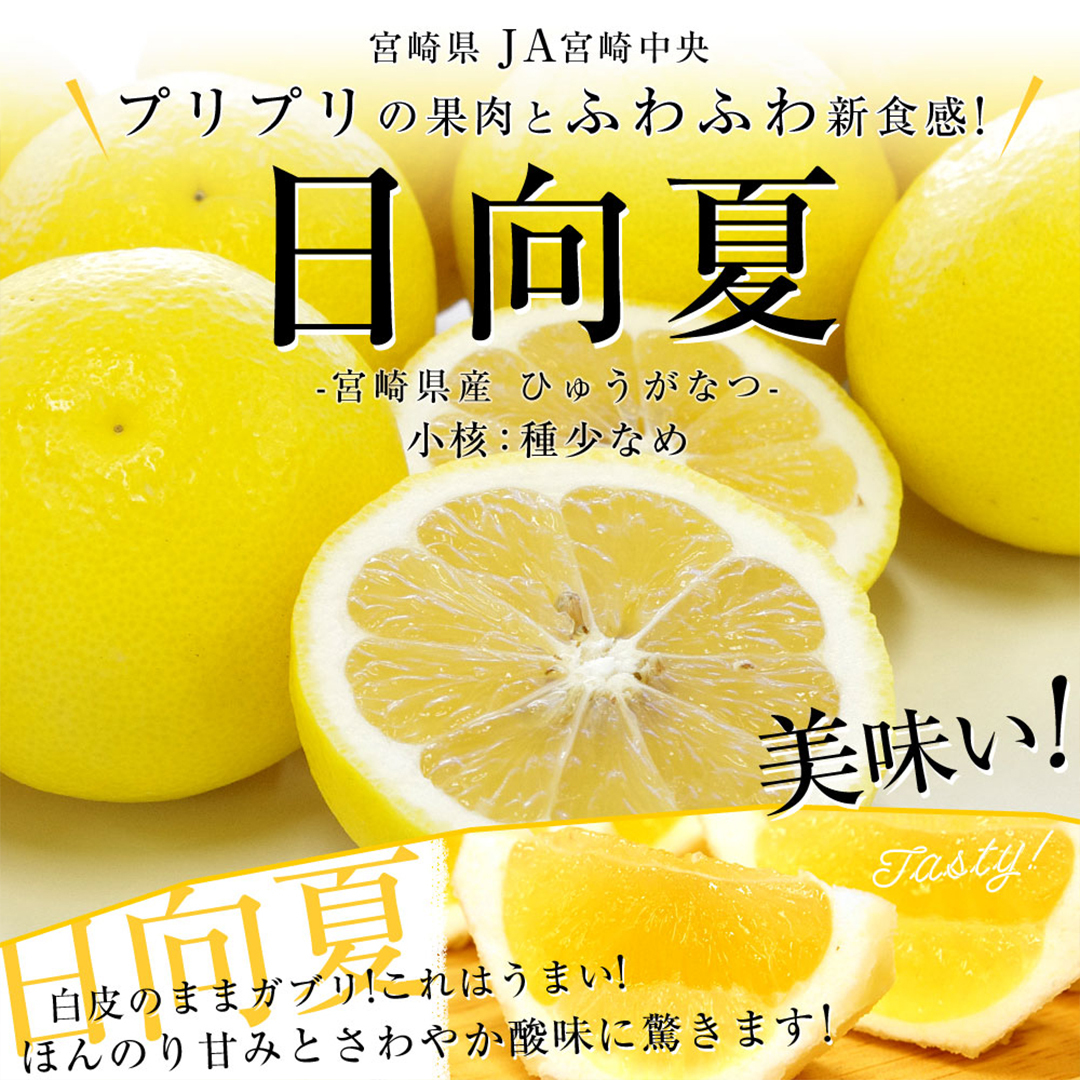 宮崎日向夏柚子禮盒 約2.5KG