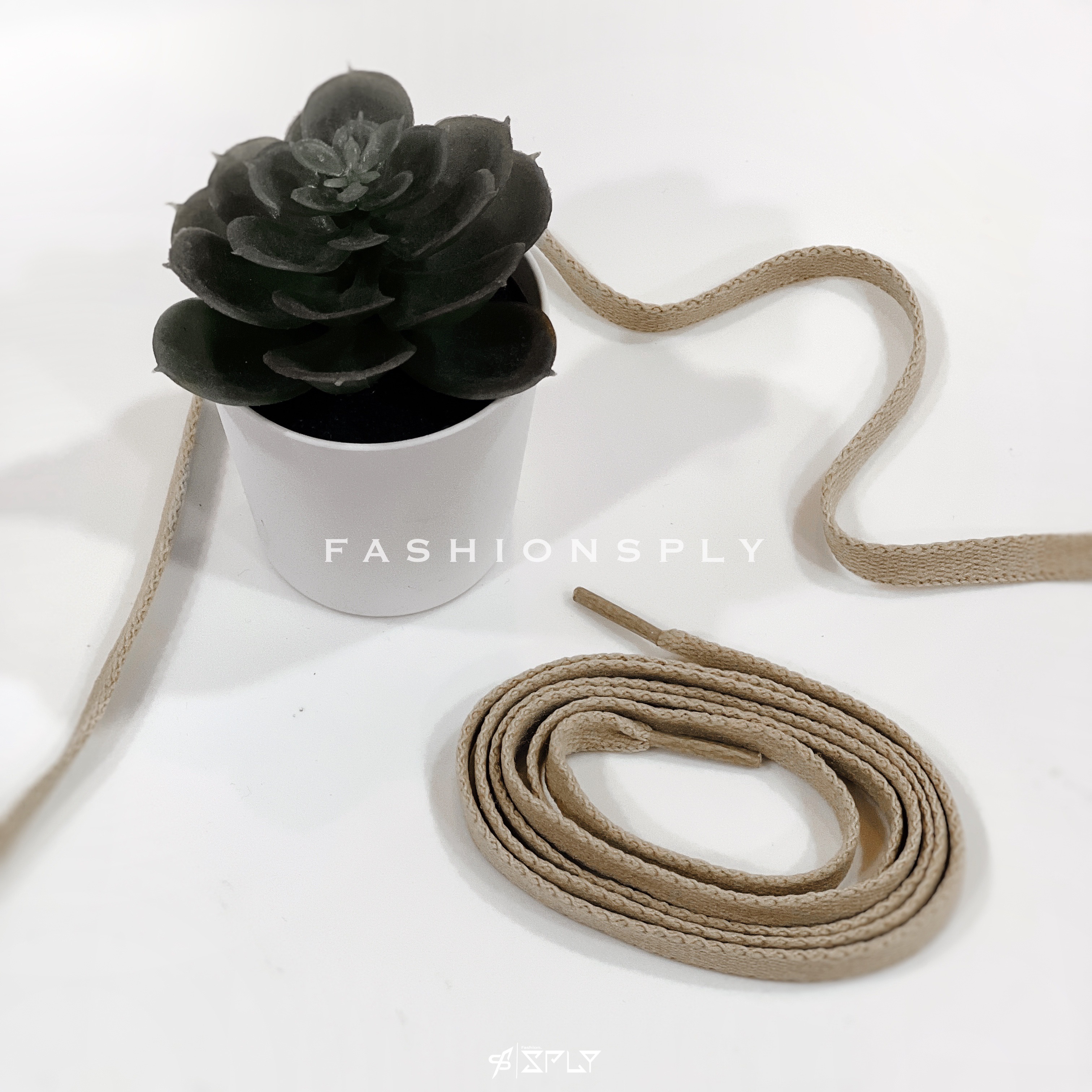 Shoselaces 鞋帶 淺卡其 124cm