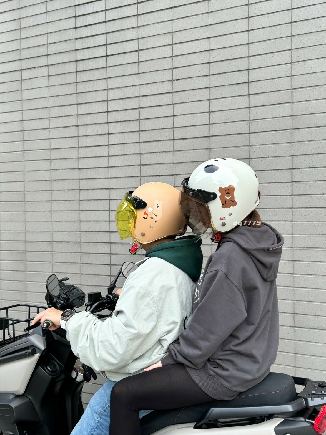 #現貨 Dinotaeng x NIKKO 正版 聯名 袋鼠 BOBO 安全帽 經典復古帽