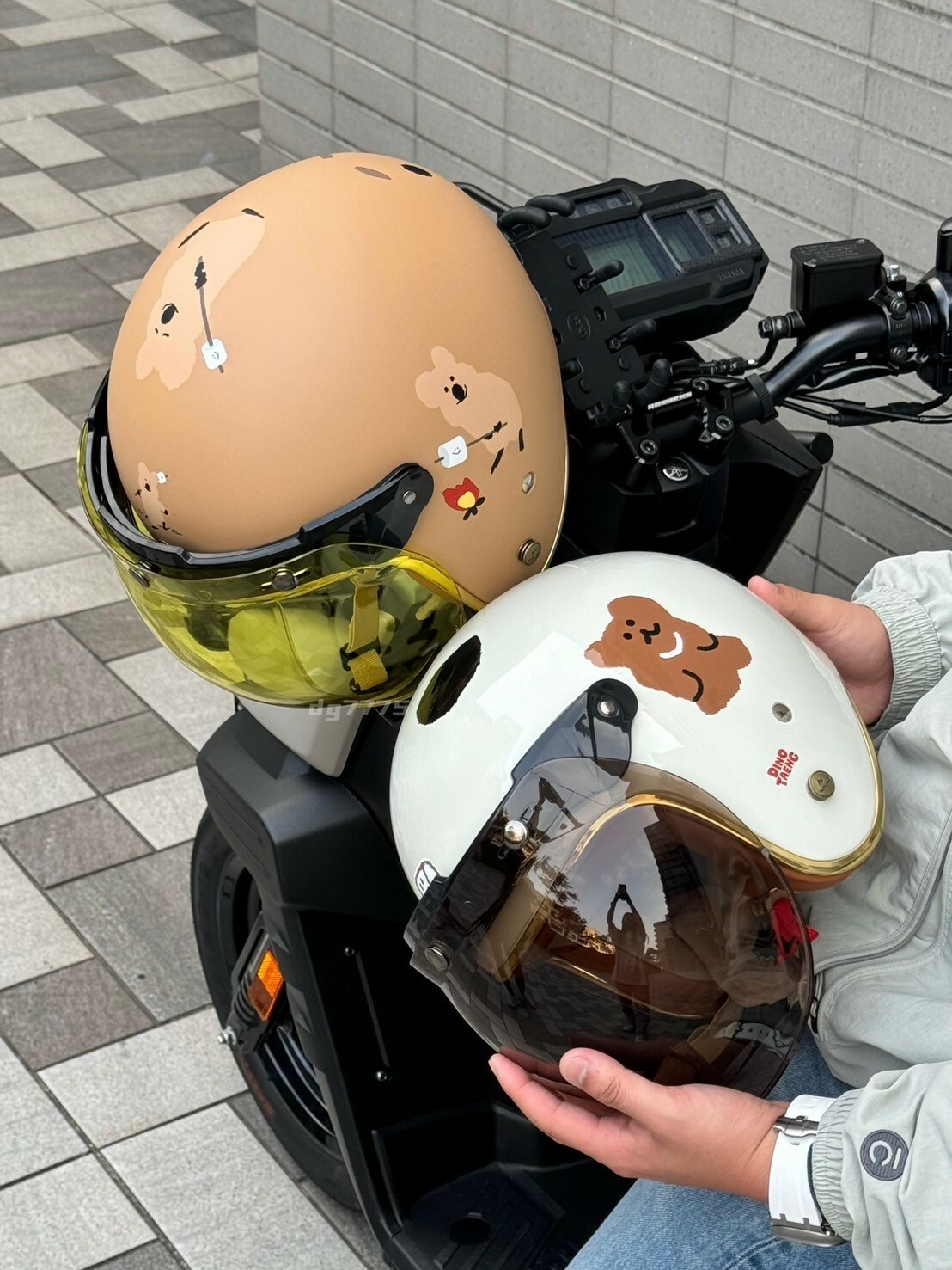 #現貨 Dinotaeng x NIKKO 正版 聯名 袋鼠 BOBO 安全帽 經典復古帽
