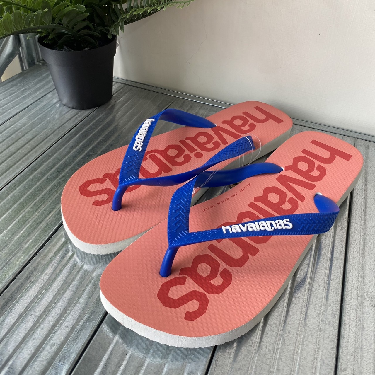 Havaianas 哈瓦仕 夾腳拖 大logo 粉藍 Top Logomania 4145741-0001U