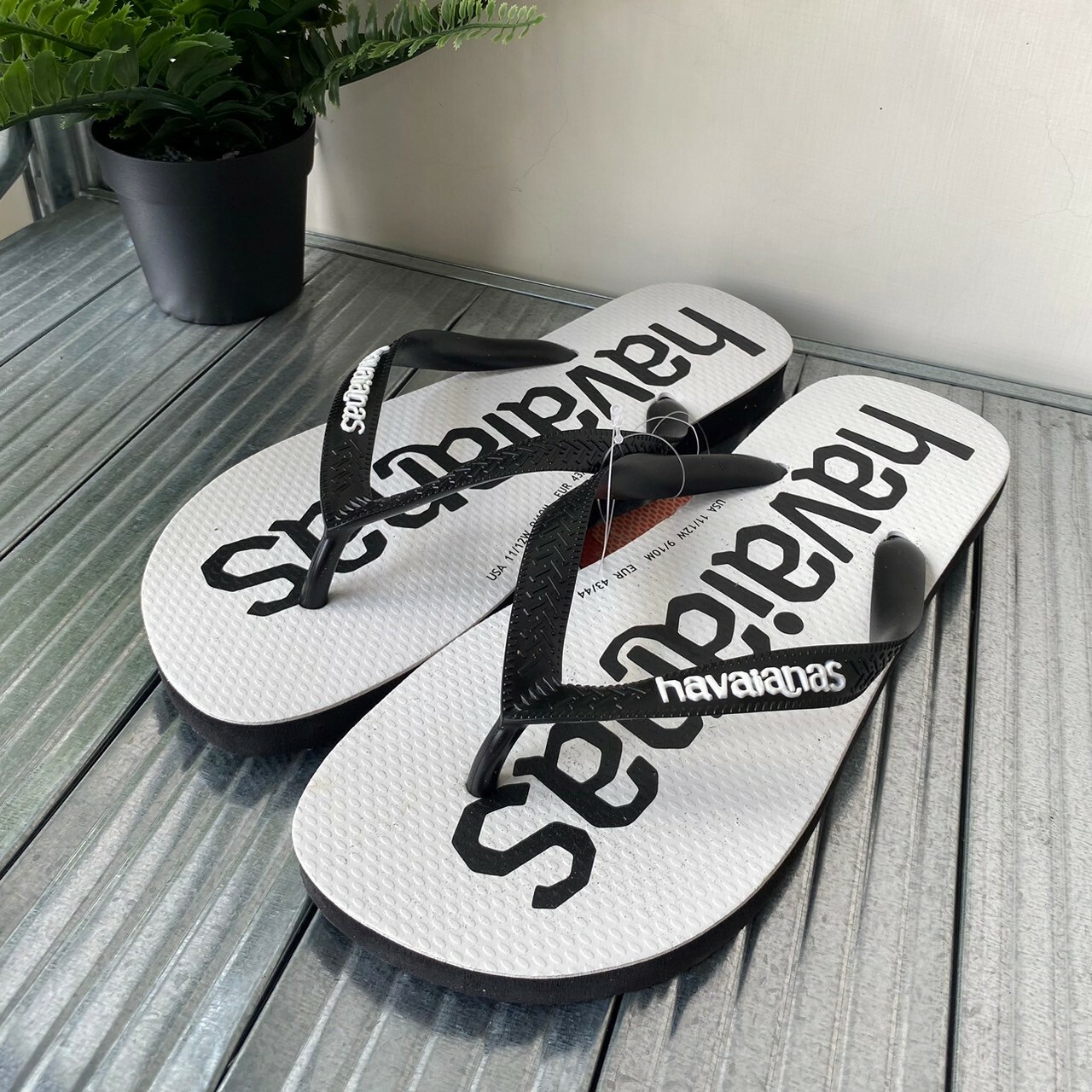 Havaianas 哈瓦仕 拖鞋 夾腳拖  男款 大LOGO 白黑 Top Logomania 4144264-1069