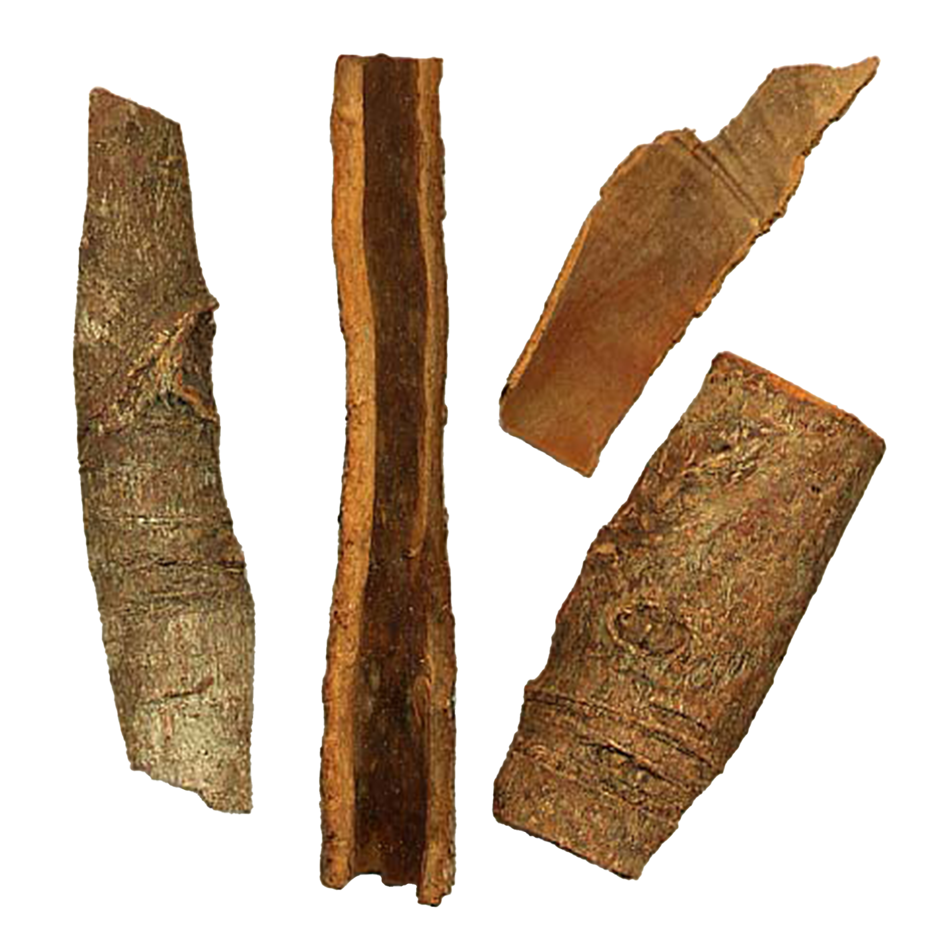 肉桂精油, 香氛, 肉桂精油成分, Cinnamomum zeylanicum, 精油功效, 中醫屬性, 精油用法, 注意事項, 精油禁忌, 精油配方, 擴香, 按摩, 皮膚保護, 護膚, 清潔, 蒸餾, 植物成分, 天然產品.Cinnamon