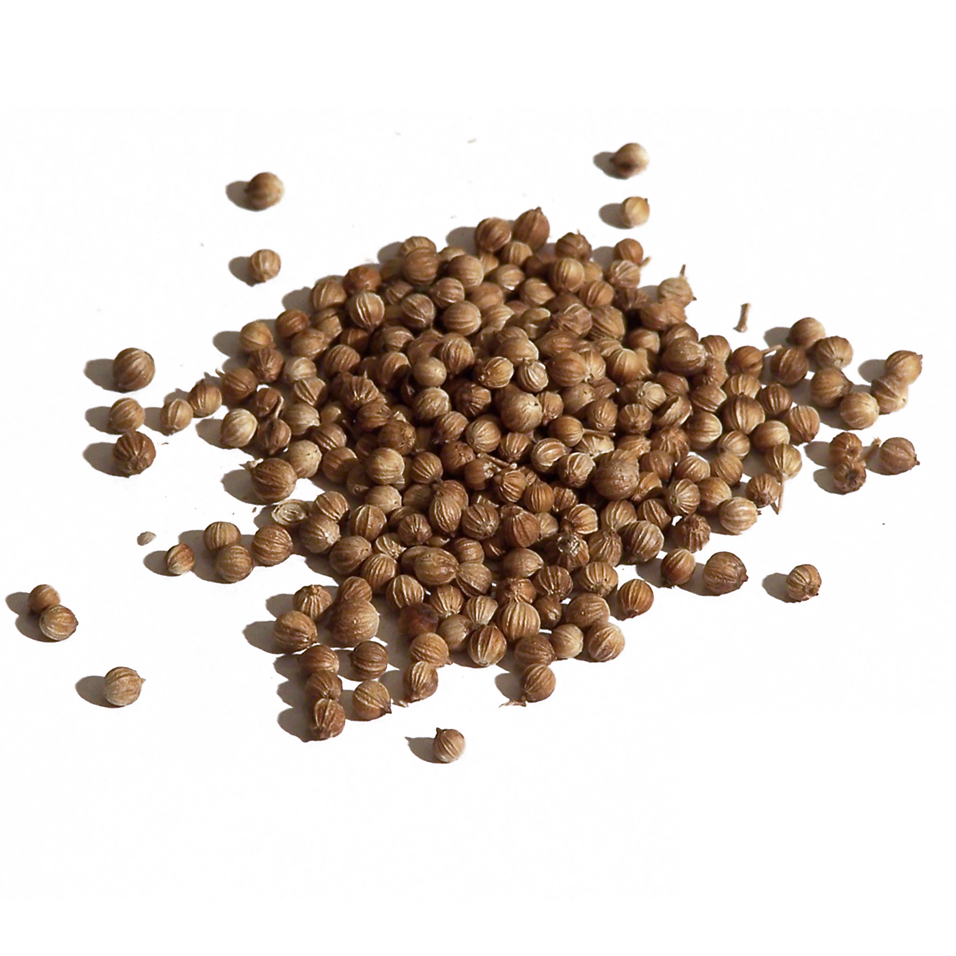 芫荽精油, 香氛, 龍腦, 牻牛兒醇, 消除疲累, 增進記憶力, 清潔淨化, 定香精油, 舒緩按摩, 透亮肌膚, Coriandrum sativum, 薰衣草精油, 土質香護膚品, 香水調配, 橙花精油, 持久定香,Coriander