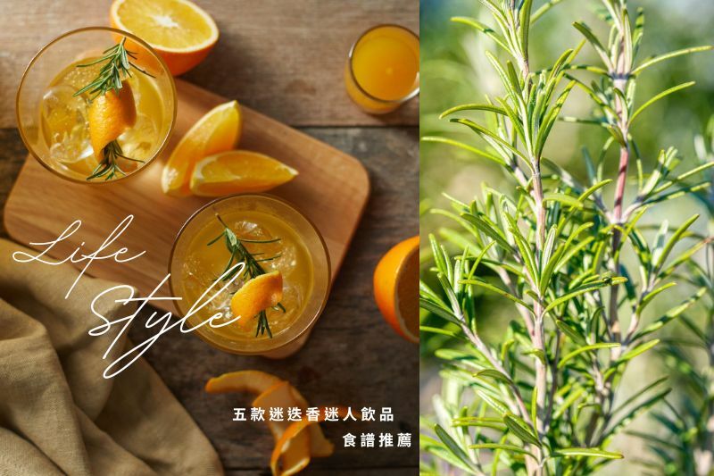 綠植推薦｜迷迭香食譜推薦