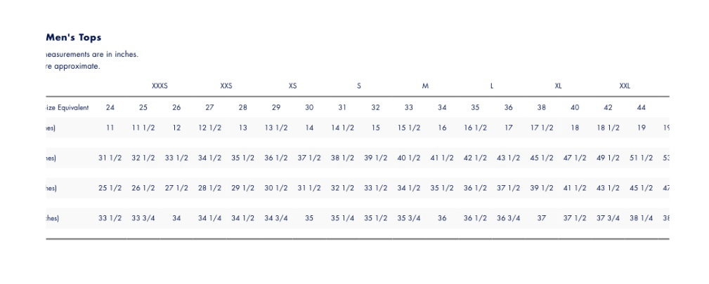 Tommy Hilfiger Men (V neck) Small flag logo Tee