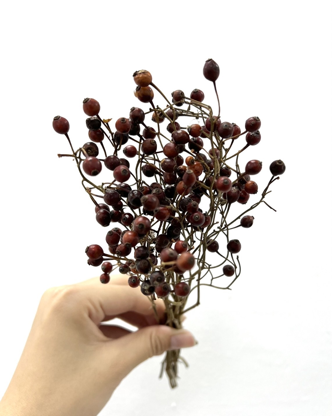日本乾燥薔薇果 22032-000