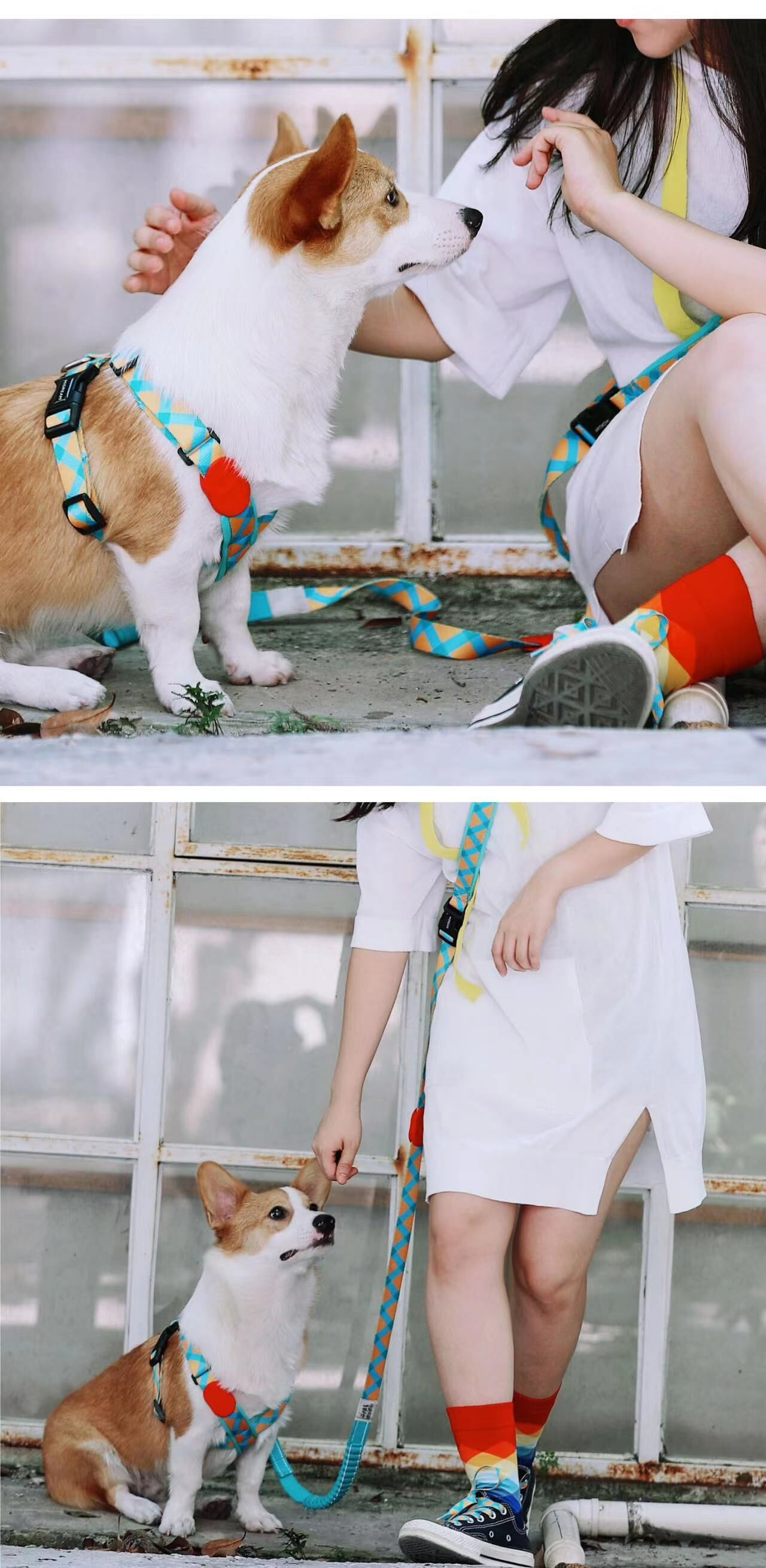 繽紛PRO-X戰甲胸背帶