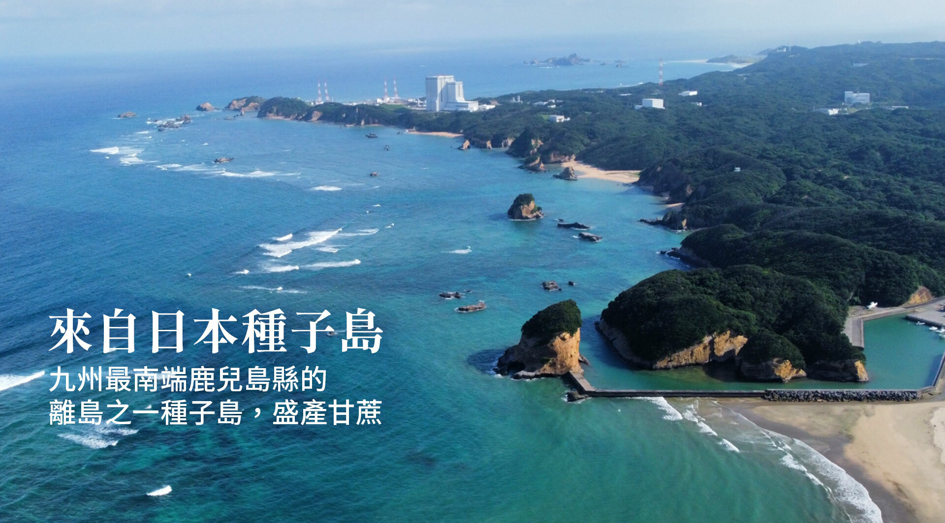 ▪︎ 不經化學處理製造,擁有獨特風味。