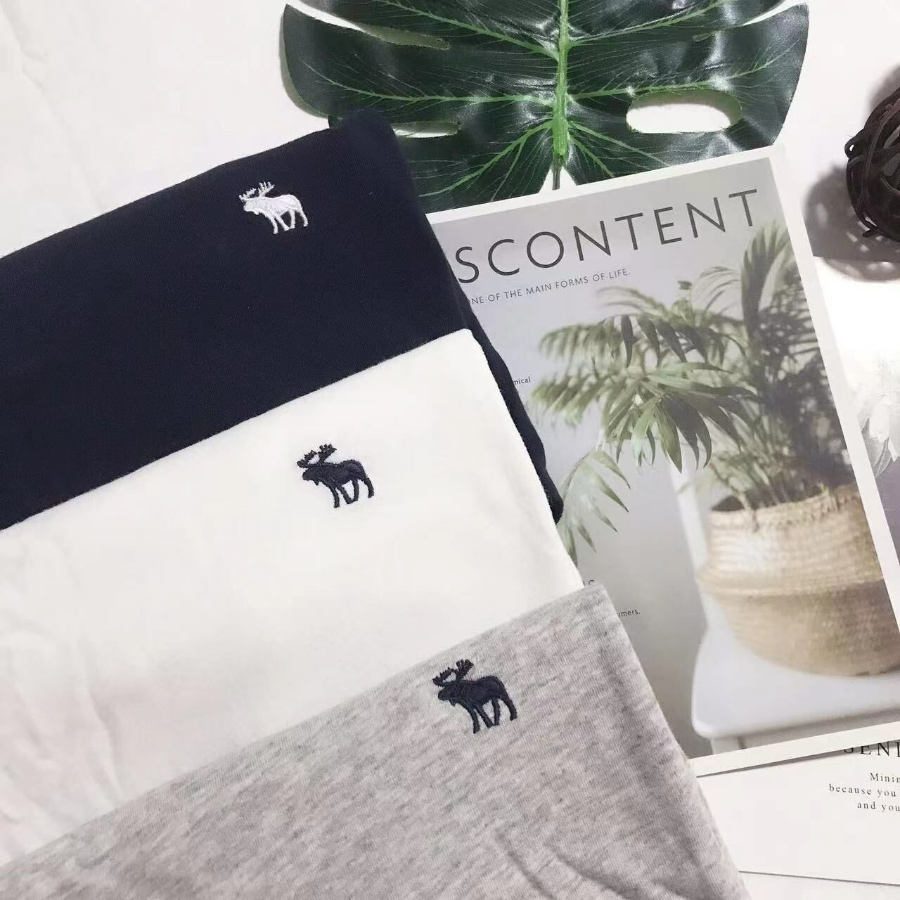 A & F 3PACK SMALL LOGO TEE 經典色