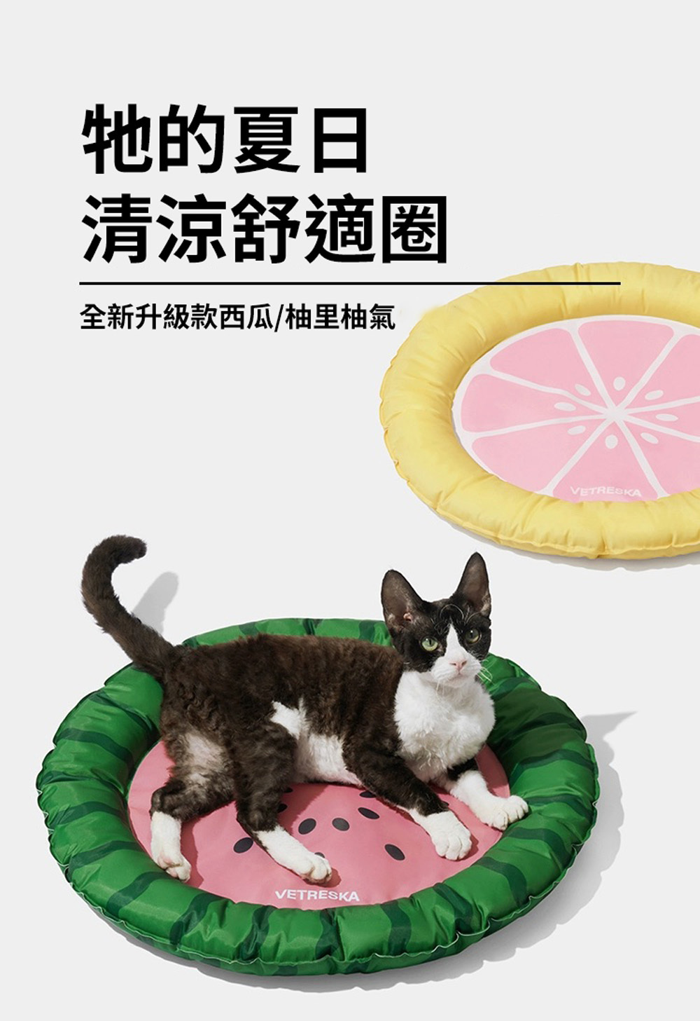 Vetreska 夏日水果降溫冰墊
