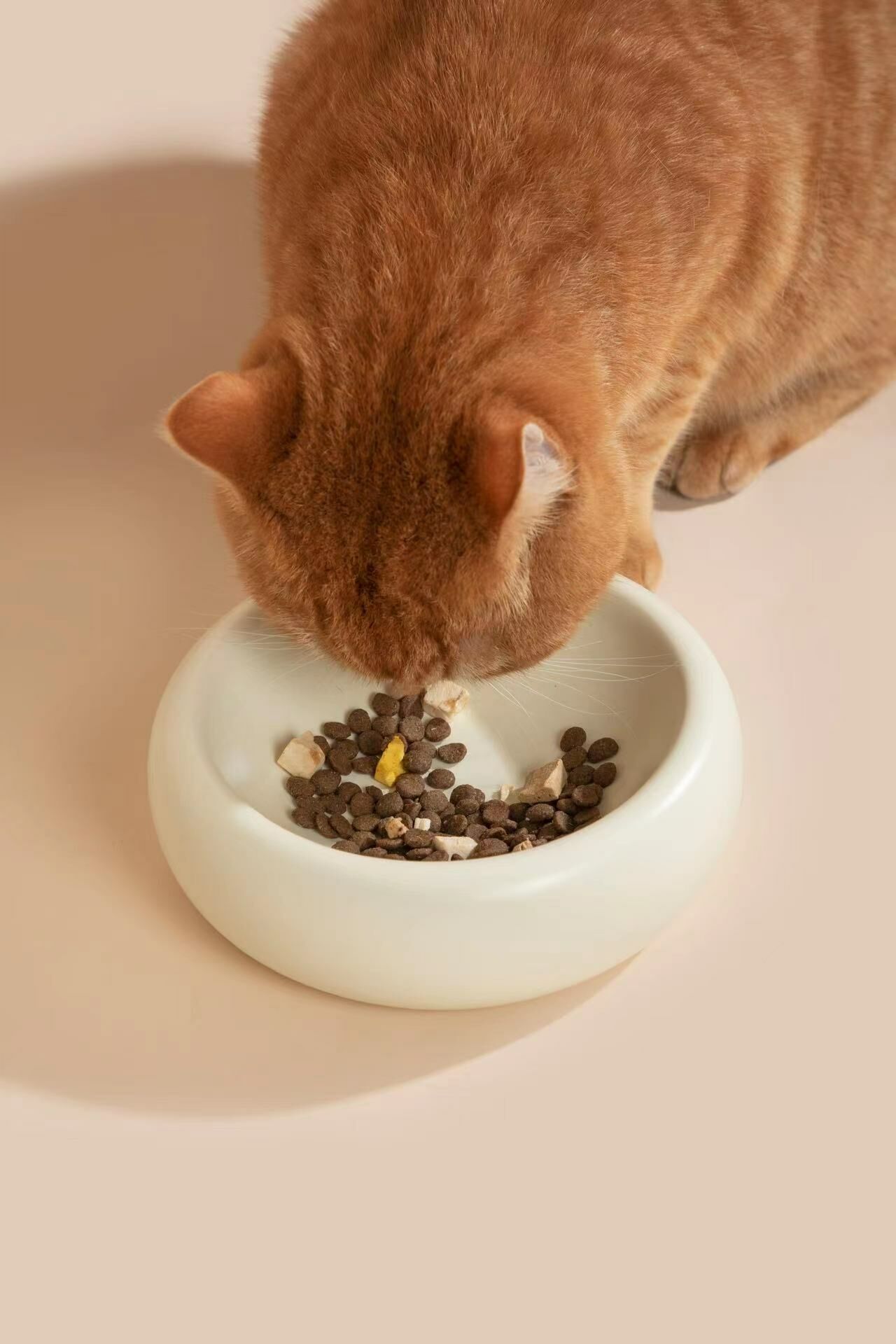 甜甜圈陶瓷寵物碗