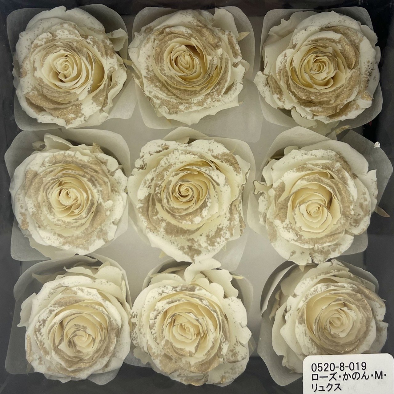 日本不凋大輪玫瑰(鑲金/9朵) 05208-019
