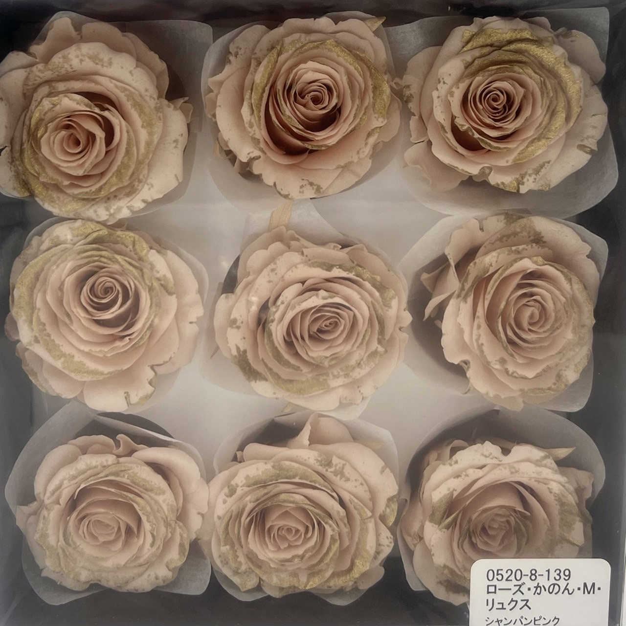 日本不凋大輪玫瑰(鑲金/9朵) 05208-139