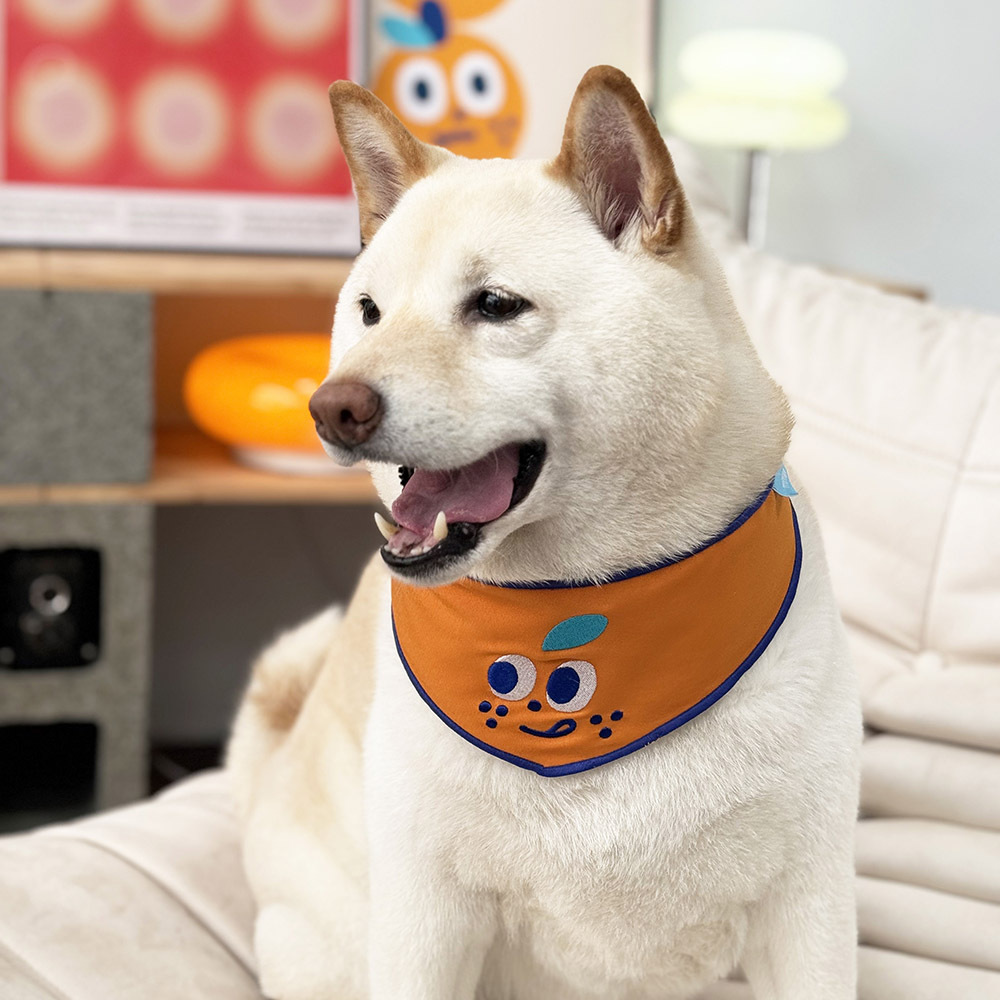 MOMAO x平凡乙女日記 寵物領巾 貪吃的桔利