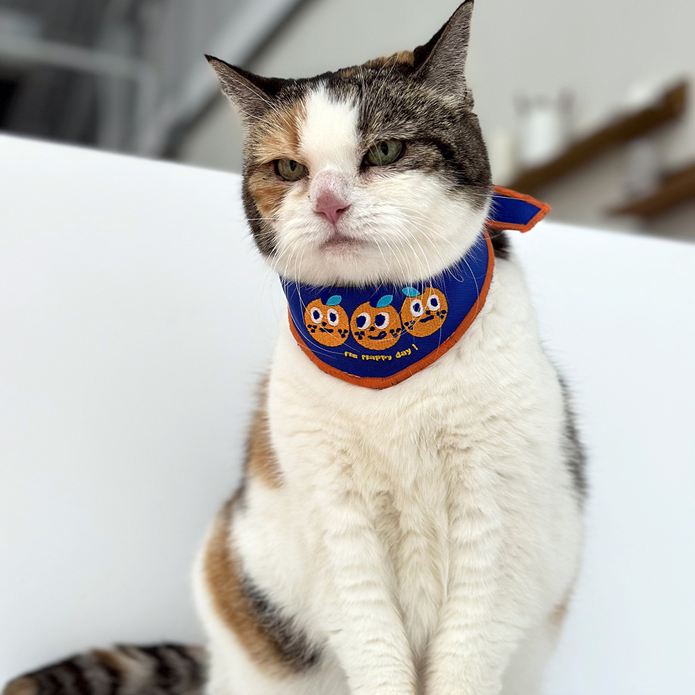 MOMAO x平凡乙女日記 寵物領巾 桔利好朋友