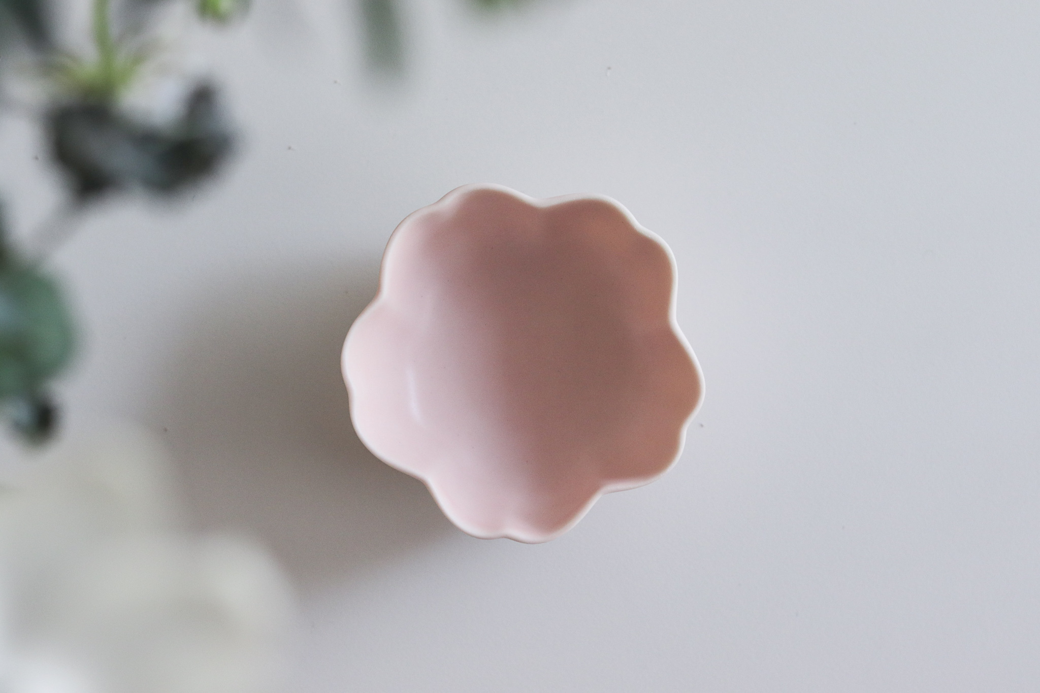 日本 美濃燒 櫻花 小缽