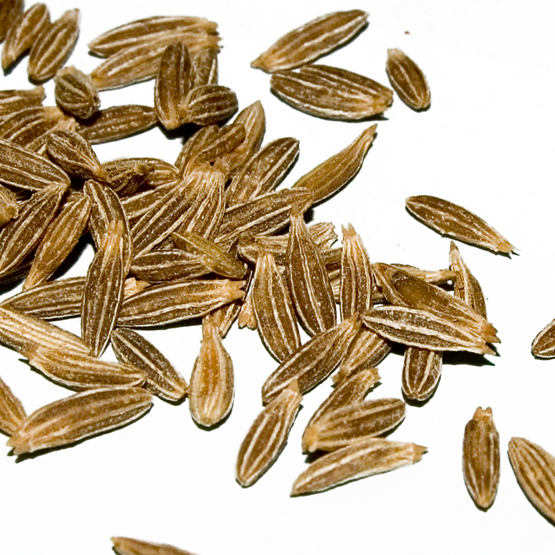 孜然精油,提升室內氛圍,烹飪風味,空氣清新,個人口腔護理,天然清潔,生活芳香,衣物護理,小茴香,相容的精油,中醫傳統,環境淨化,自製護理,微妙的天然香氣,Cumin essential oil, enhancing indoor atmosphere