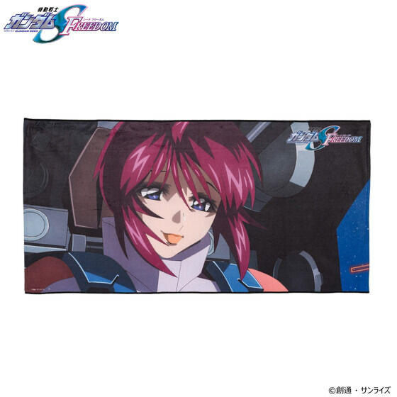 217463 Pbandai 預訂2024/11月機動戦士ガンダムSEED FREEDOM