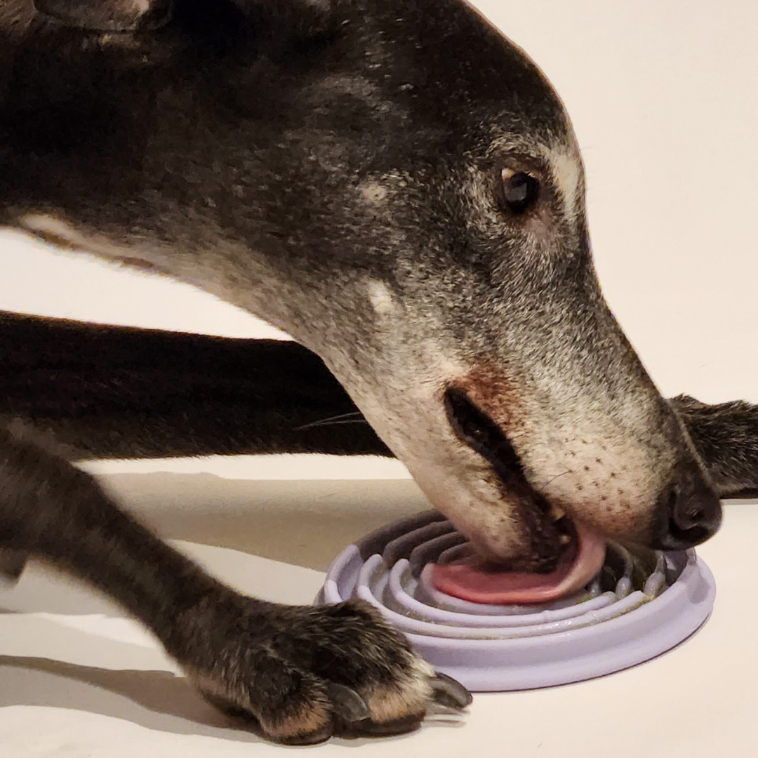 LUNOJI -Twirl 轉轉盤