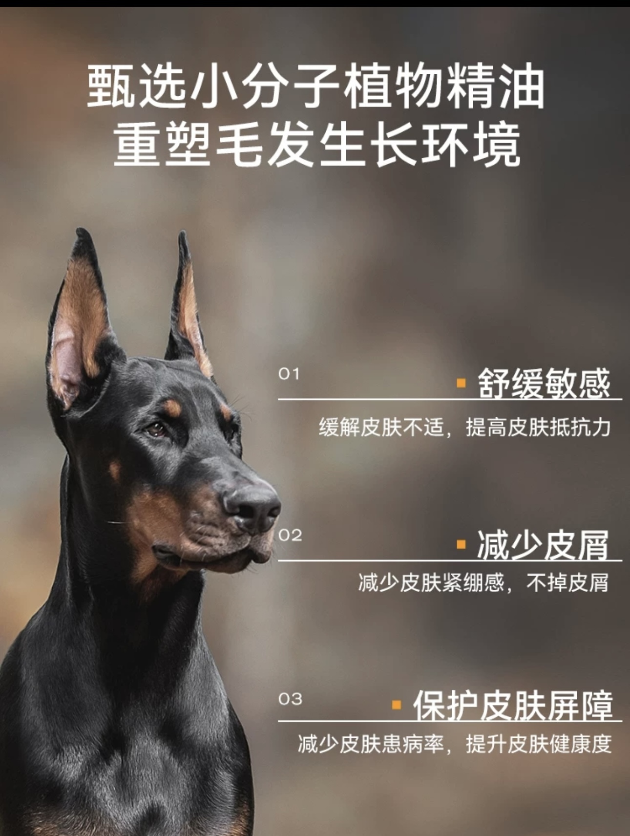 AMO PETRIC  NO.37  冷杉精油沐浴露  短毛专用 450ml