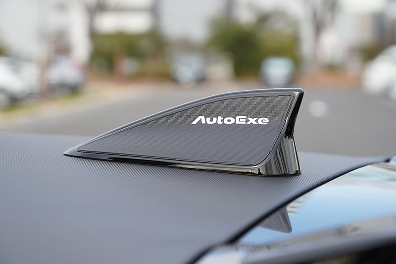 AUTOEXE CARBON 天線裝飾貼片