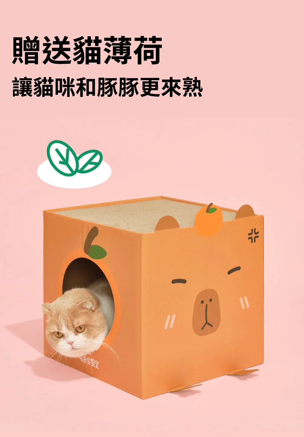 purlab 水豚貓抓屋