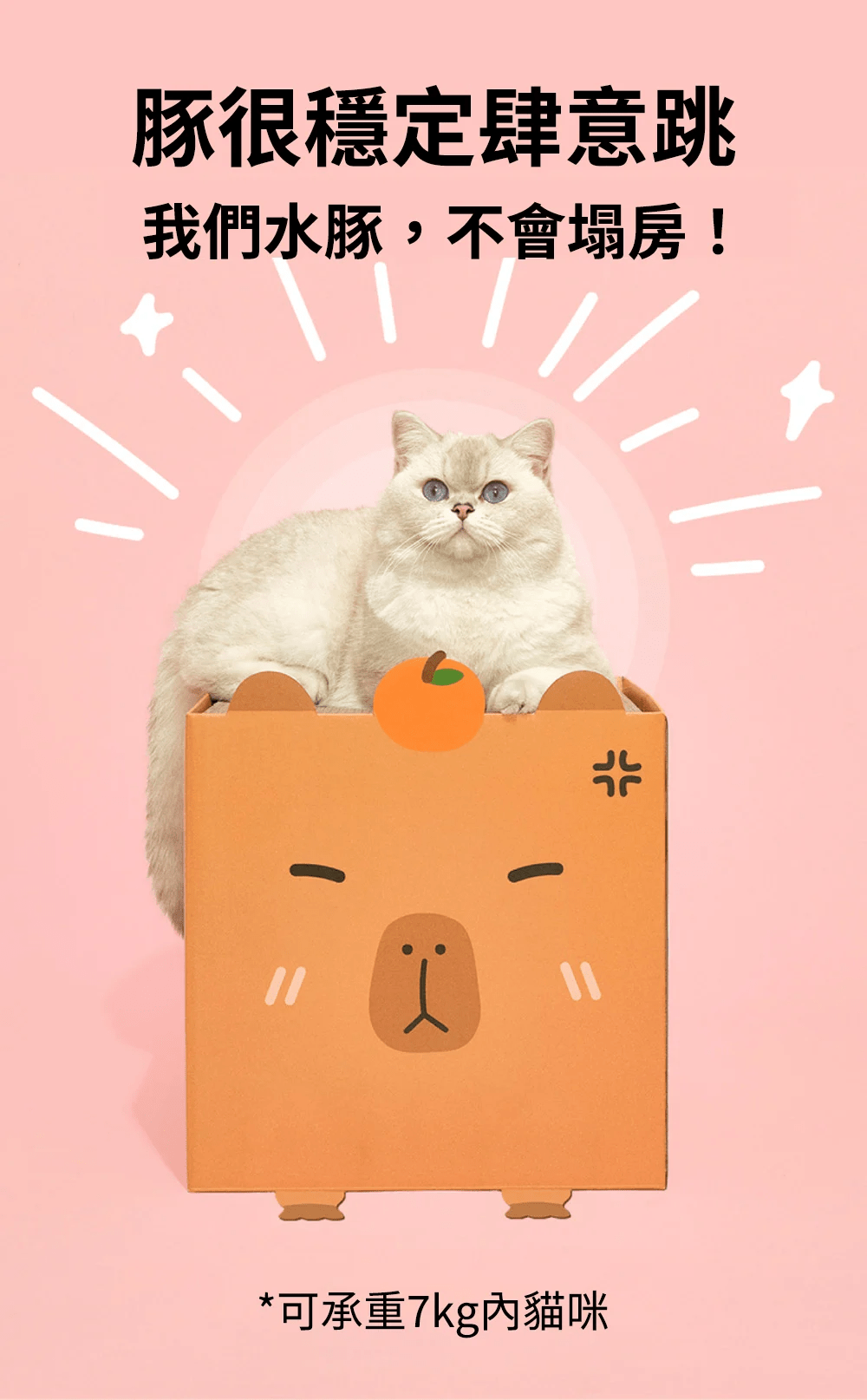 purlab 水豚貓抓屋