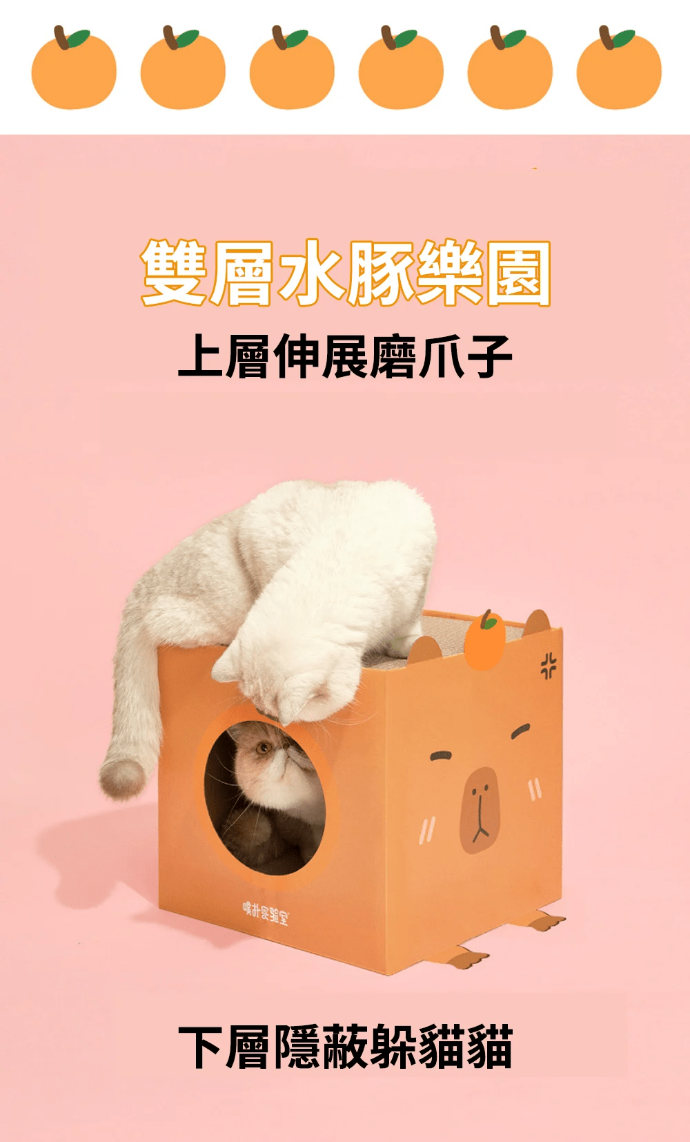 purlab 水豚貓抓屋