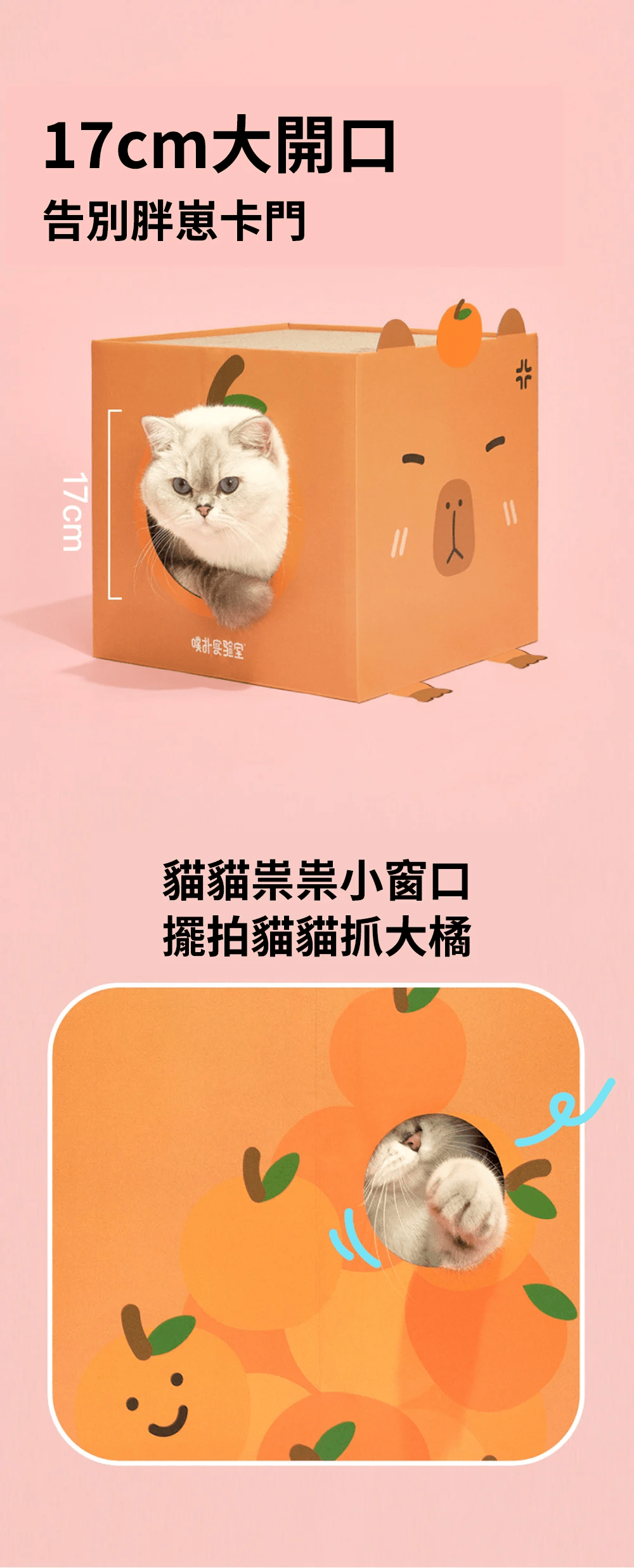 purlab 水豚貓抓屋