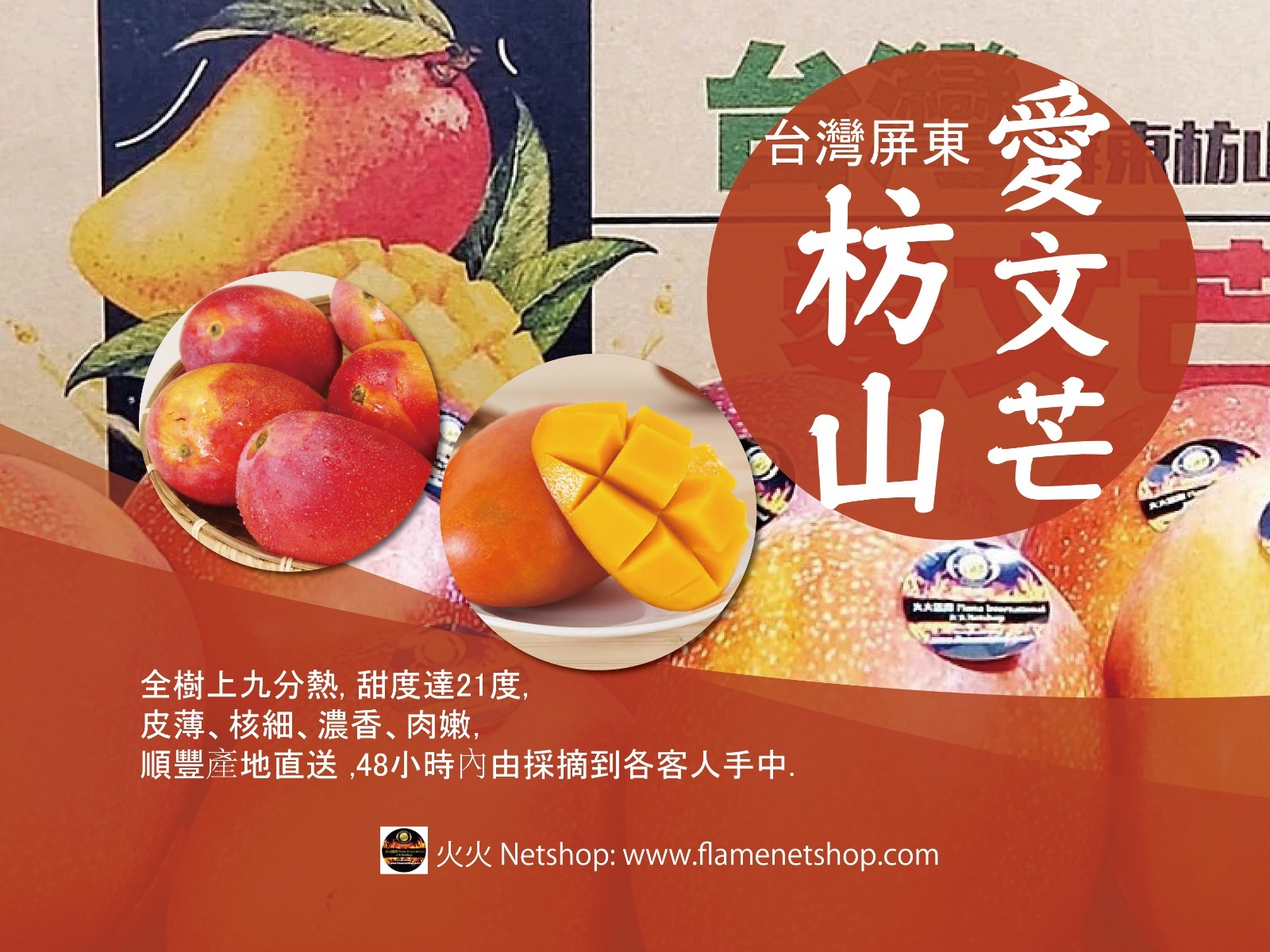 台灣枋山愛文芒果