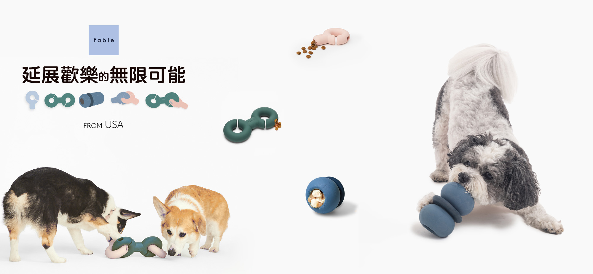 Fable 益智玩具-毛樂主意