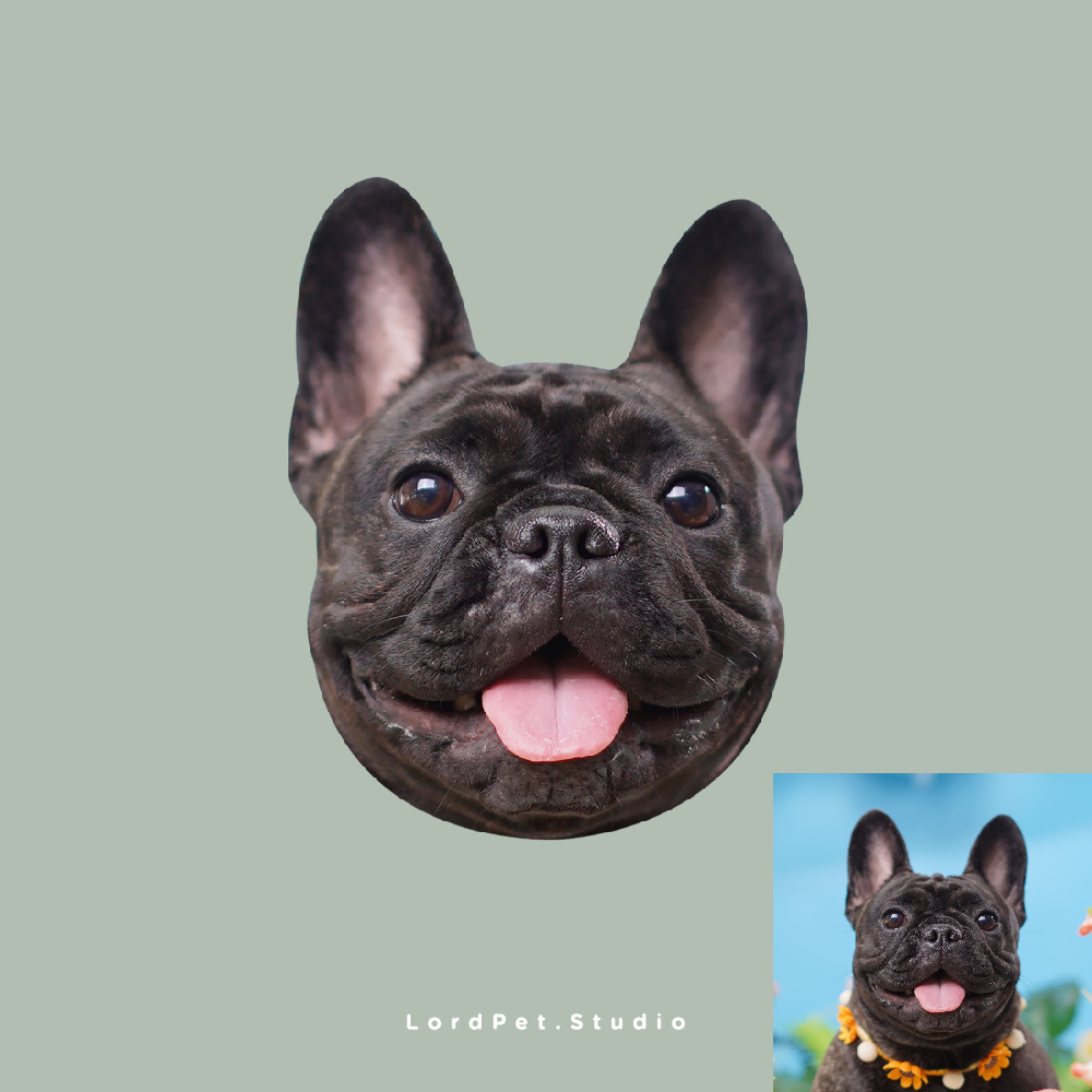 額外寵物頭像 (相片)