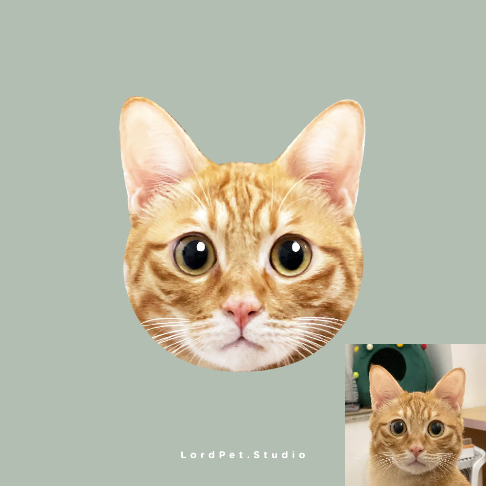 額外寵物頭像 (相片)