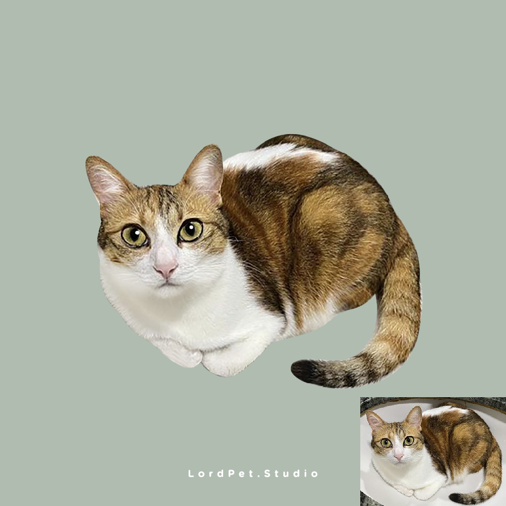 額外寵物全身 (相片)