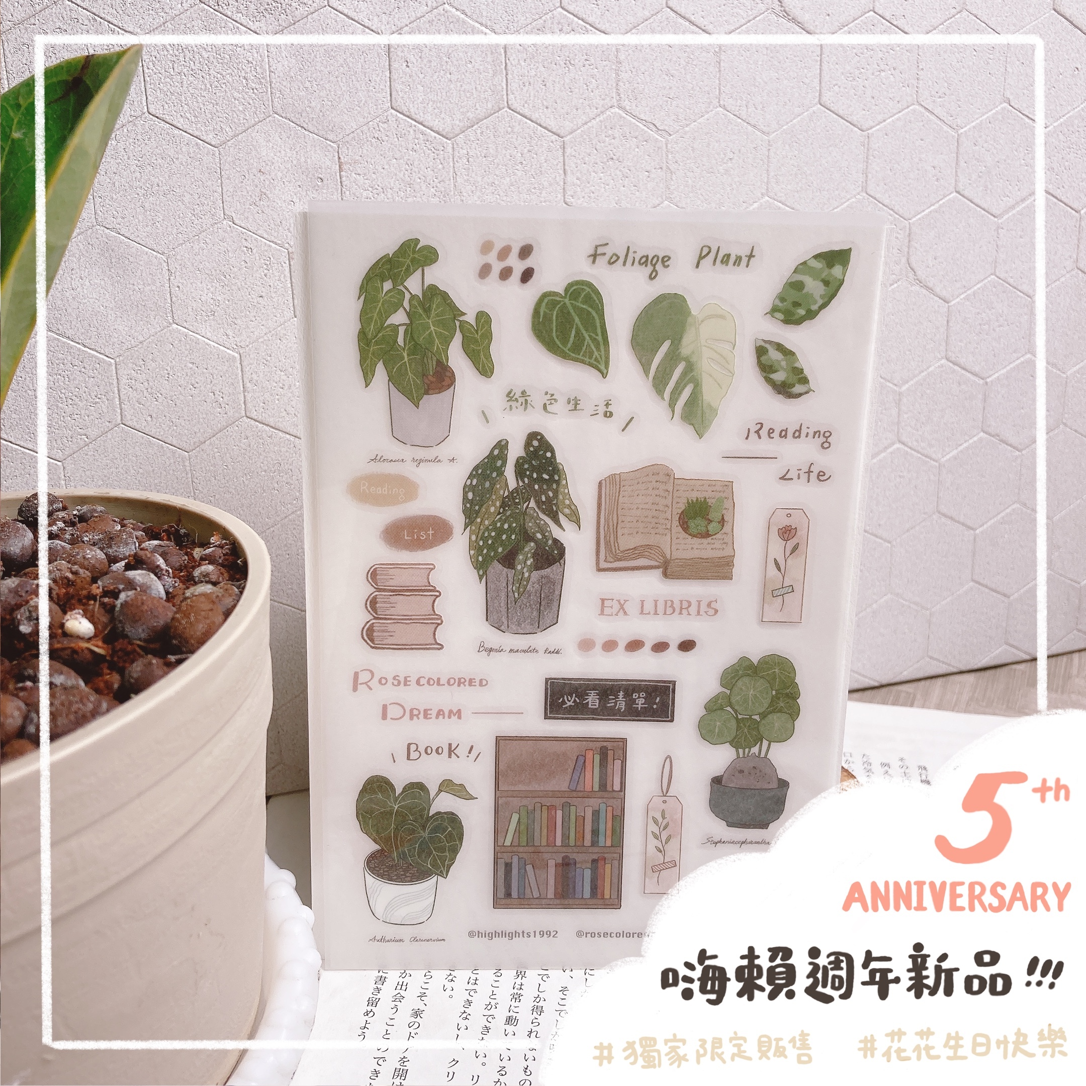 嗨賴 x 玫瑰色二手書店｜Book & green 轉印貼紙