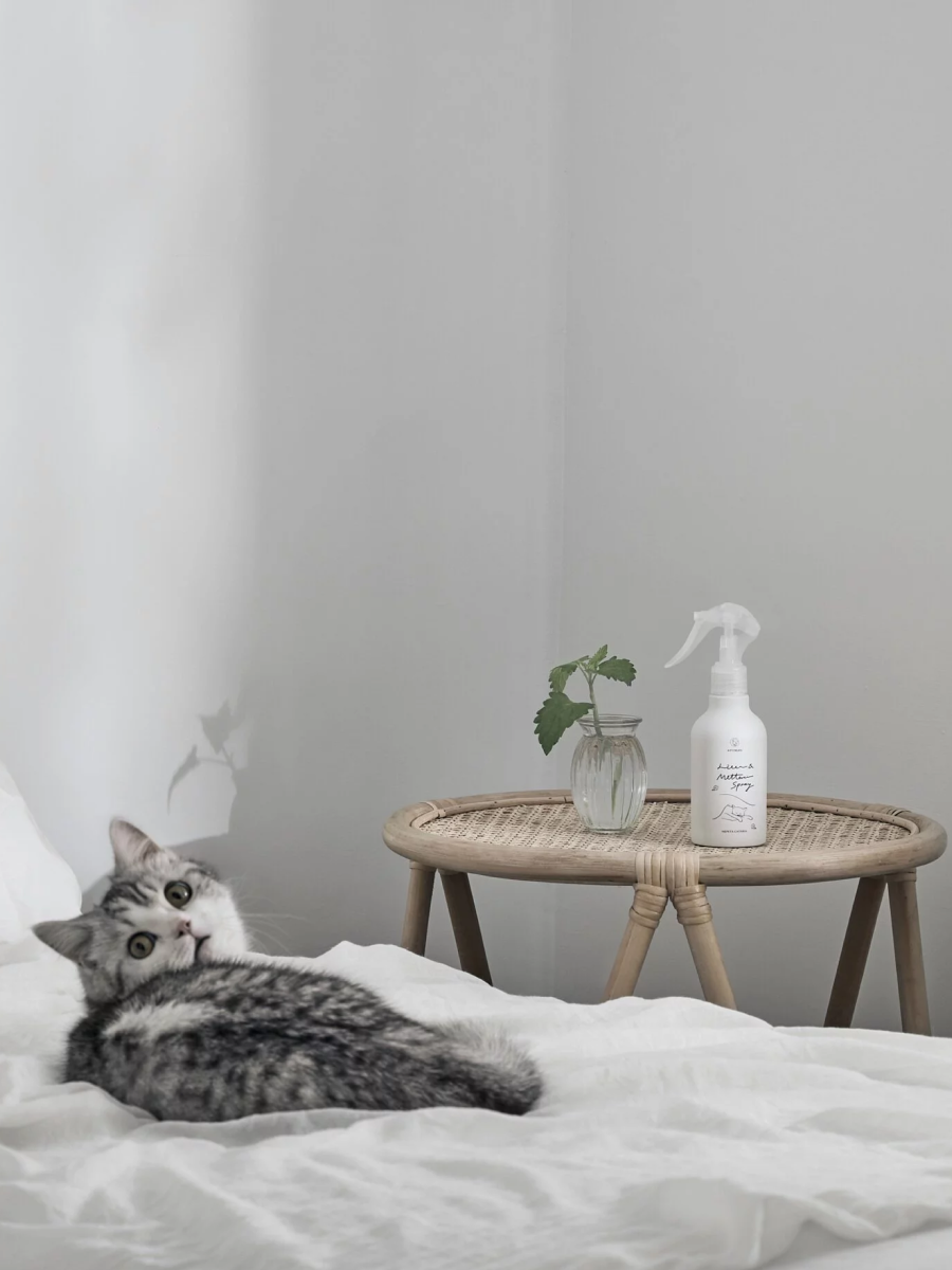 【野田實驗室 NODA LABS】APOMAN 驅蟲少年® : 衣物與寢具噴霧 (北美荊芥)