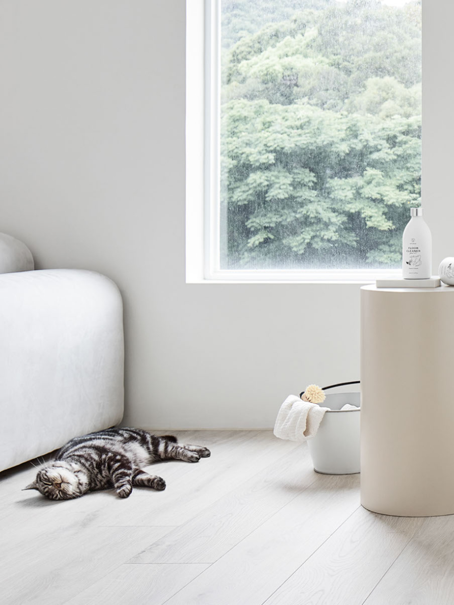 【野田實驗室 NODA LABS】APOMAN 驅蟲少年® : 地板清潔劑 (北美荊芥)