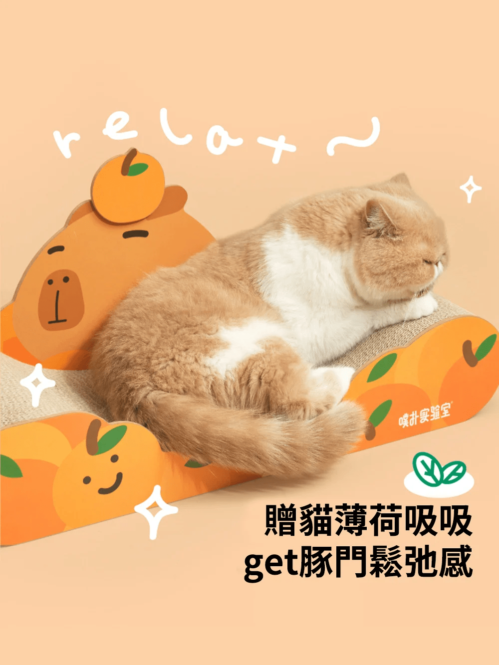 purlab 水豚貓抓板