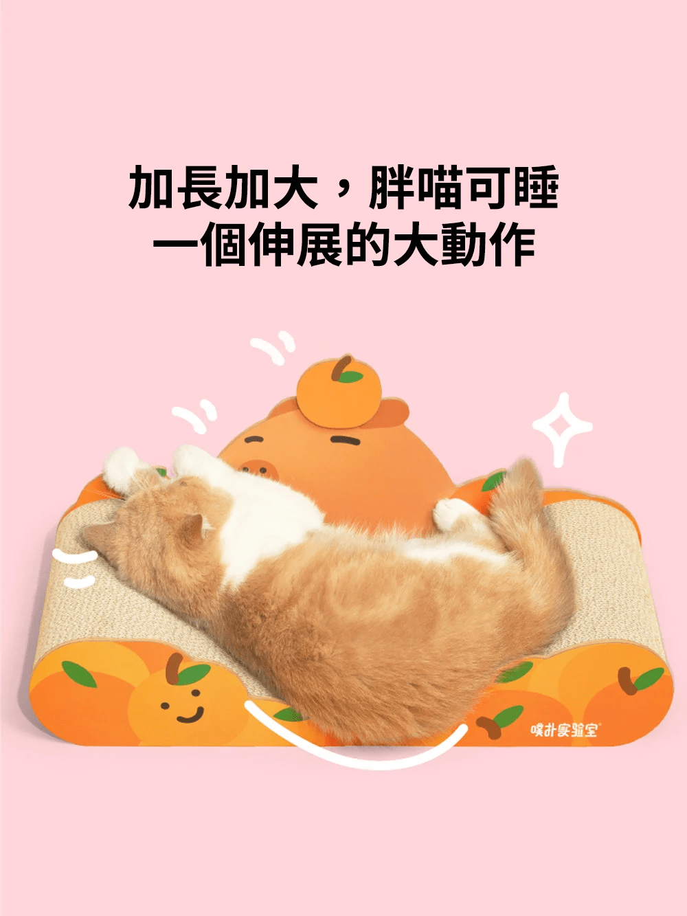 purlab 水豚貓抓板