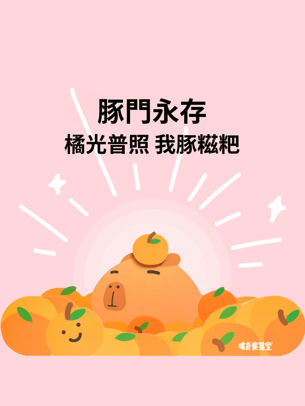 purlab 水豚貓抓板