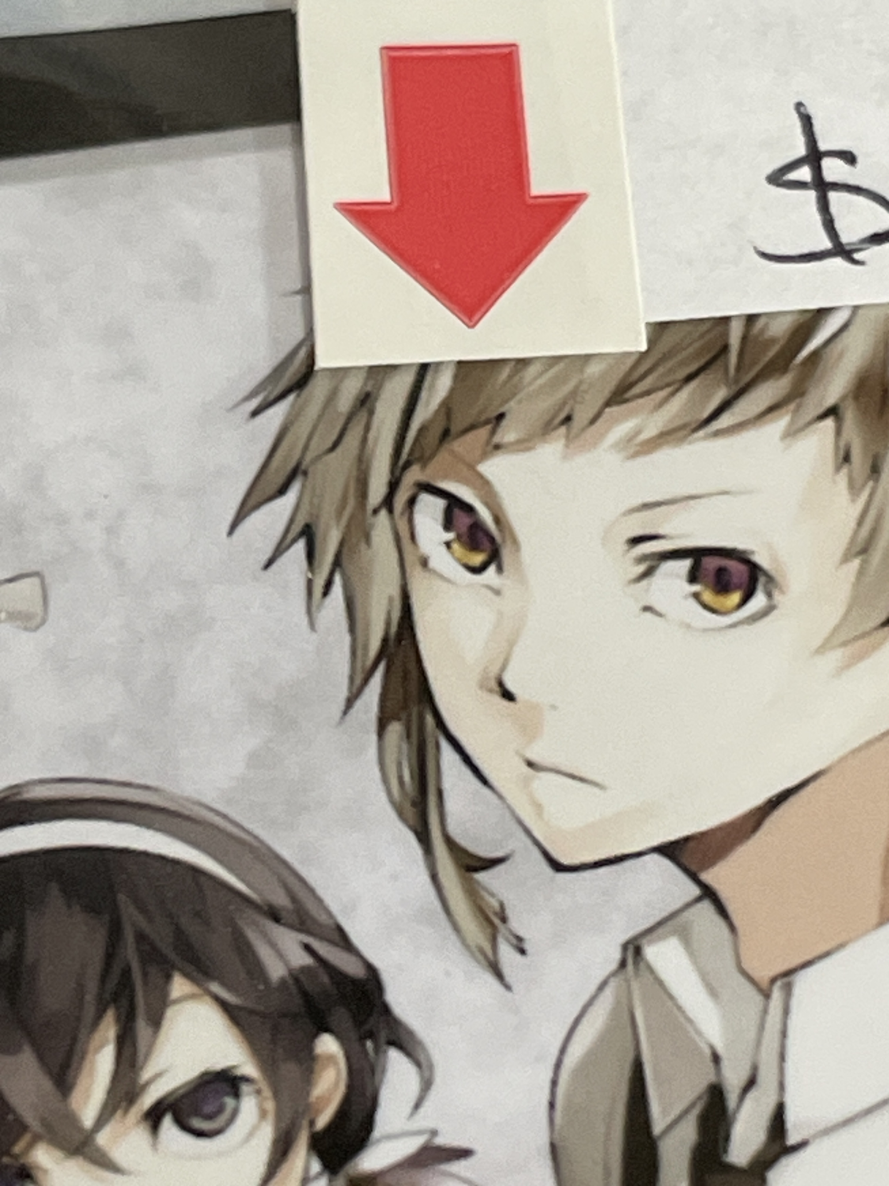 文豪野犬 小卡 瑕 #29