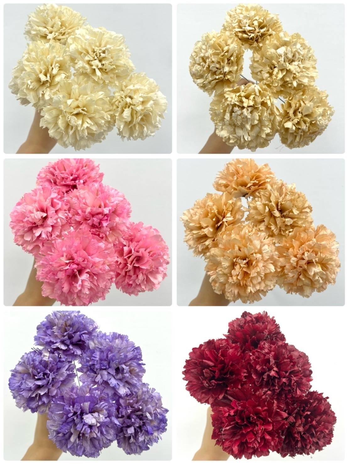 羽葉康乃馨 < 五支一把 >